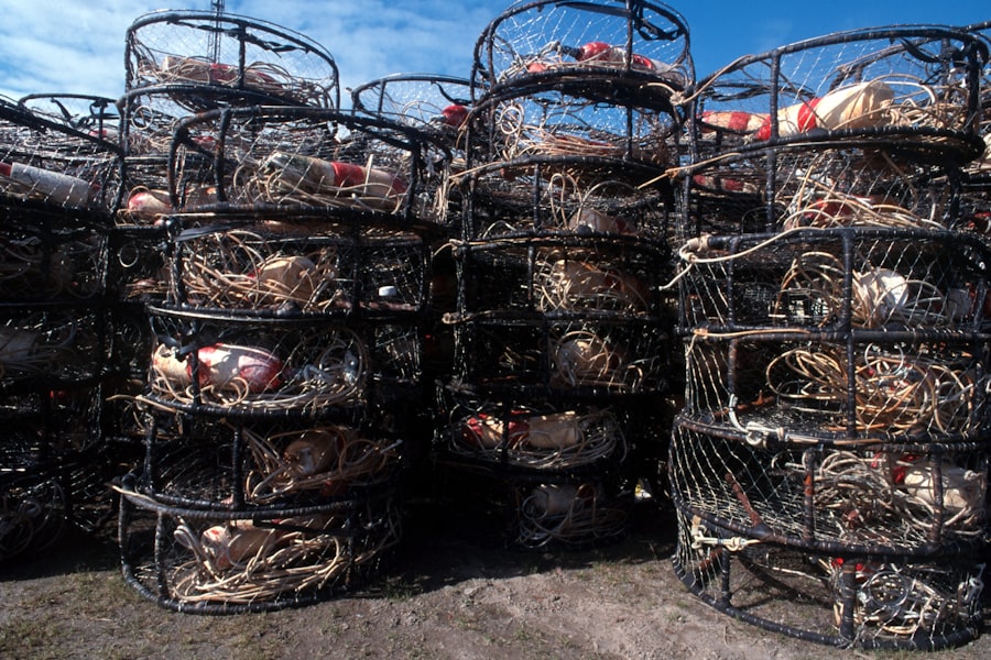 pesca artesanal y pesca industrial