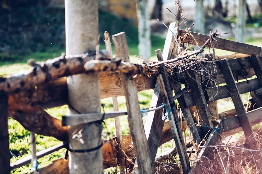 maintenance cane trusses