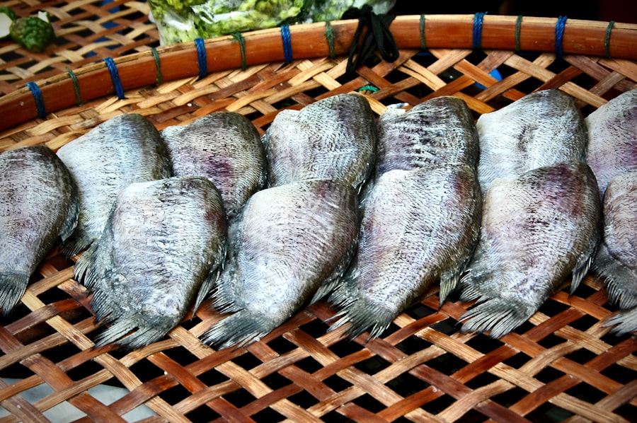 hake fish
