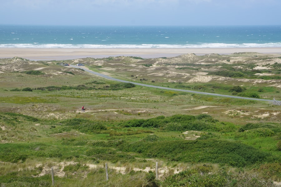 Photo coastal habitat restoration
