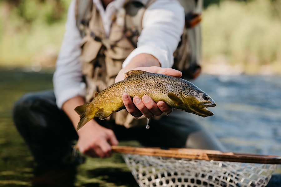 Photo trout fishing tips