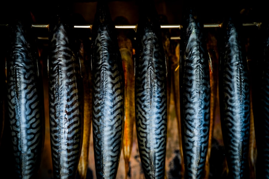 Photo mackerel fish
