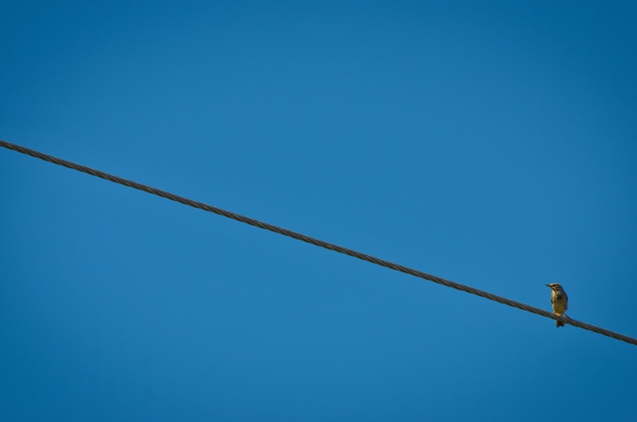 Photo telescopic fishing rod