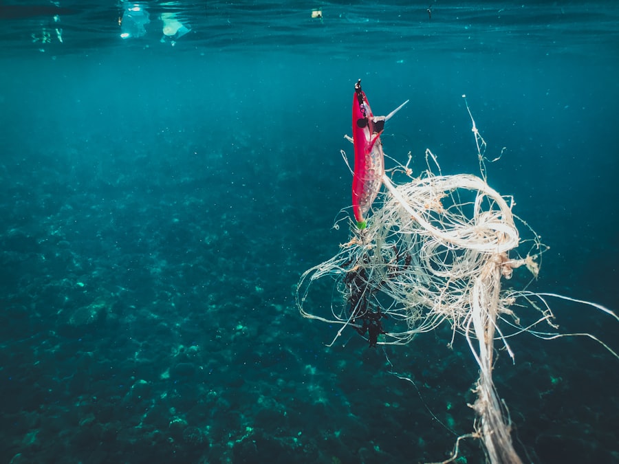 Photo fishing impact