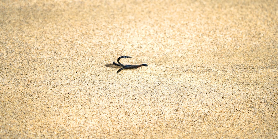 anzuelos surfcasting