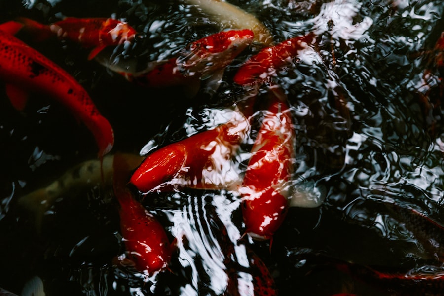 fishing techniques besugo