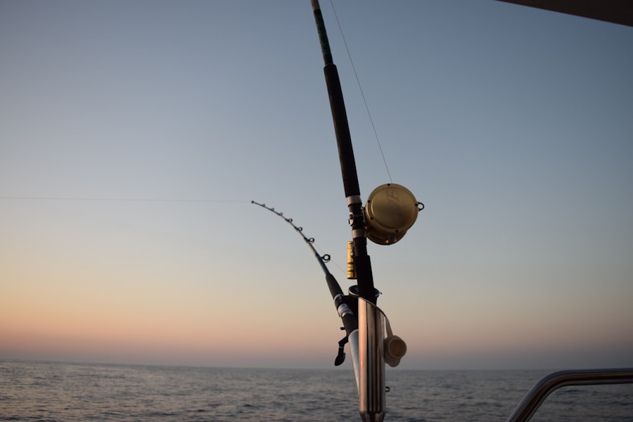 sport fishing sailfish