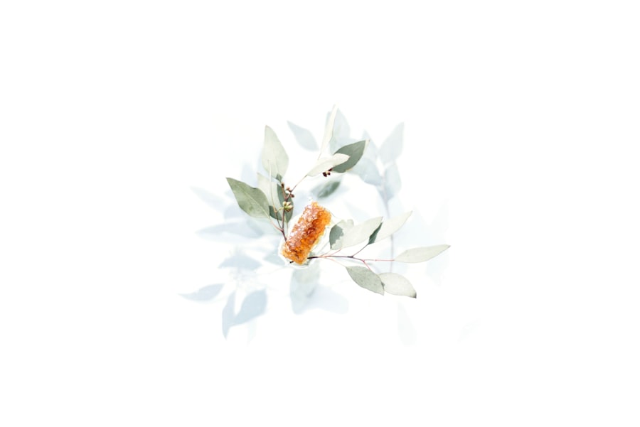 Photo señuelos para sargo