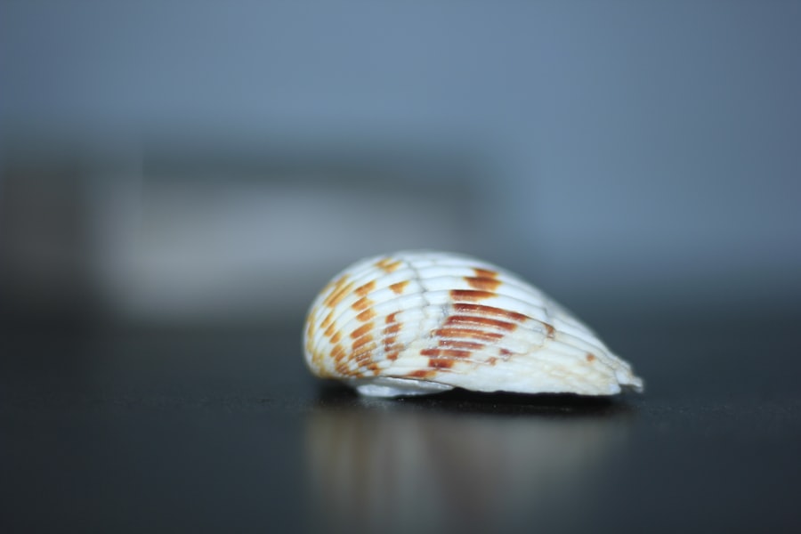 Photo anzuelos para sargo