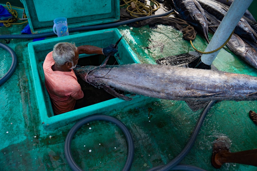 Photo fishing techniques tuna