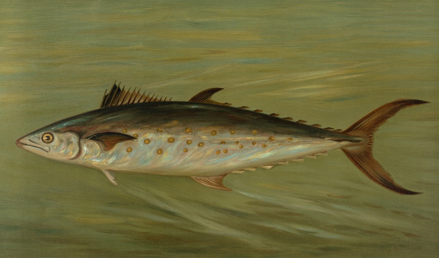 Photo artificial lures