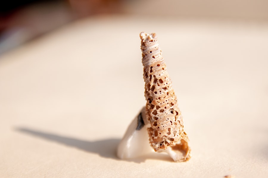 Photo rock fishing reels