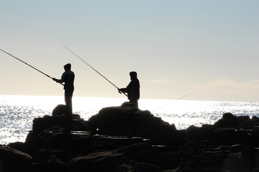 Photo fishing season for sea bass