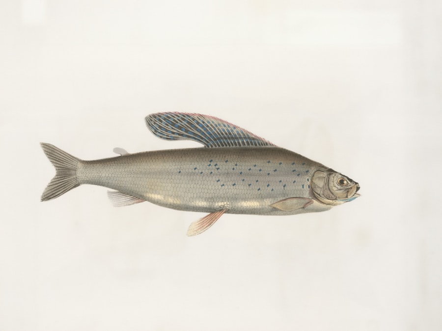 Photo best jurel lures