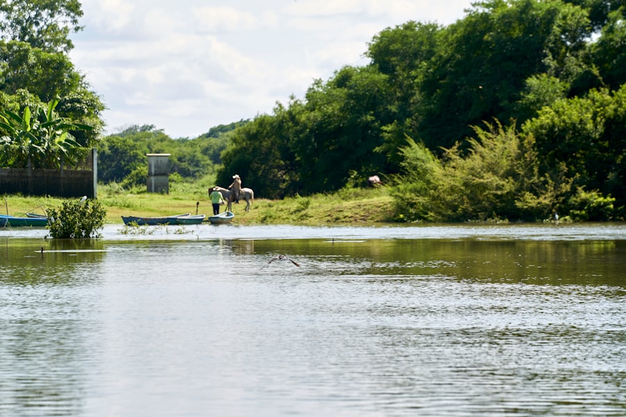 marine sports confiable