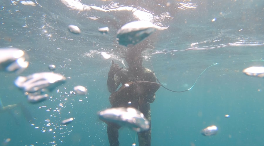 spearfishing