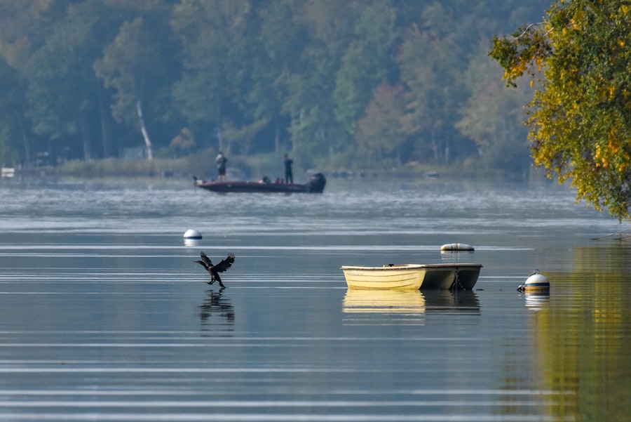 fishing buoy