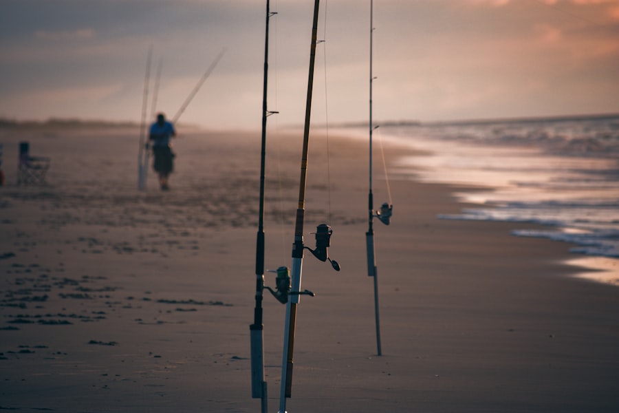 Photo surfcasting reels