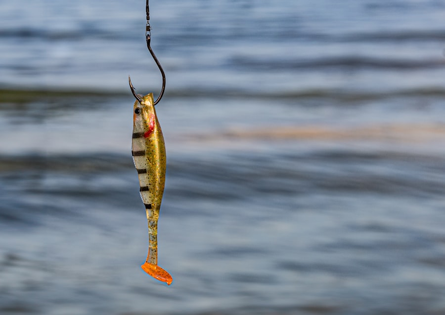 Photo fishing hook