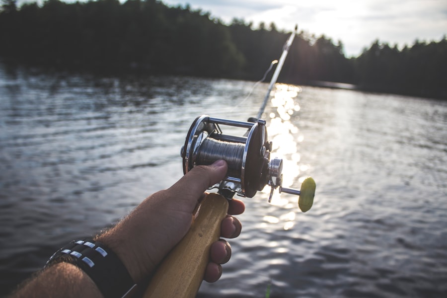 sargo fishing
