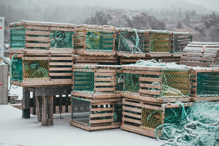 fishing boxes
