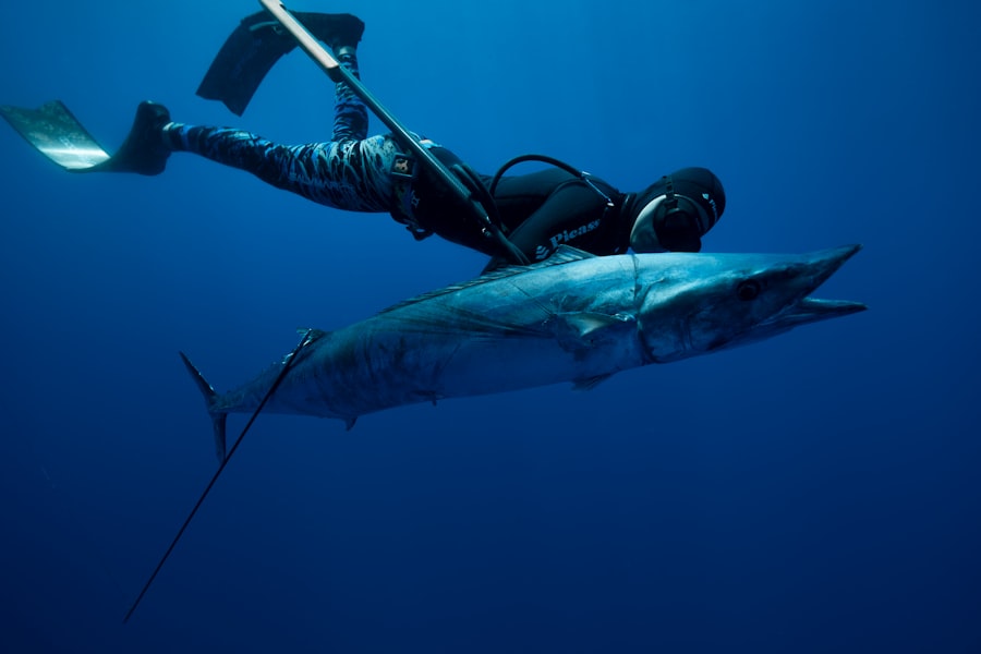 Photo tuna fishing