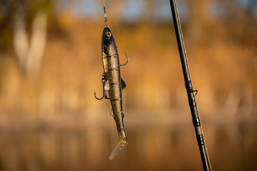 Photo fishing hooks
