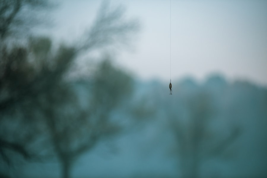 Photo fishing hook