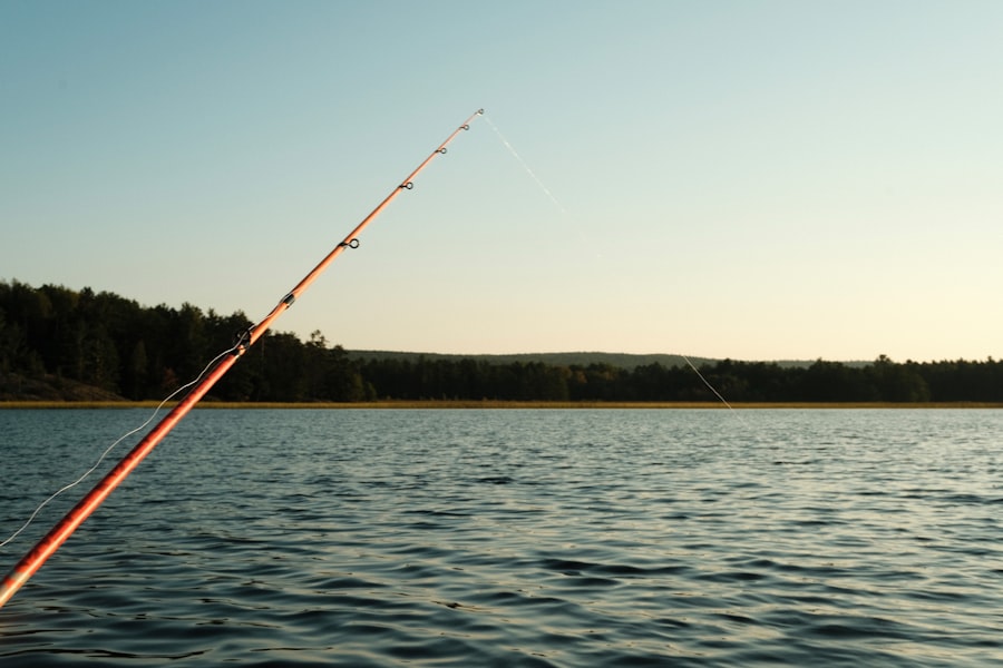 electric fishing