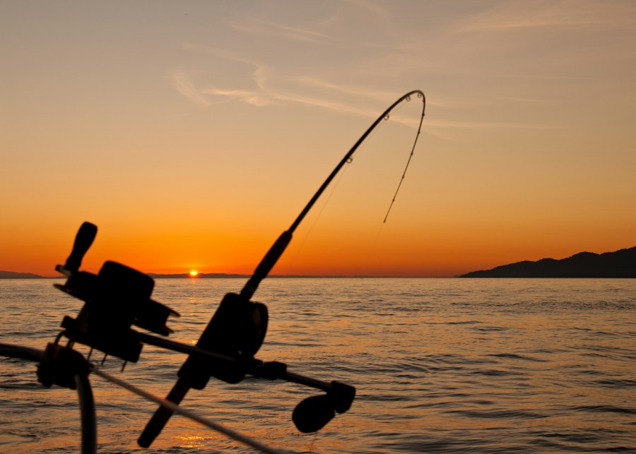 Photo fishing rods