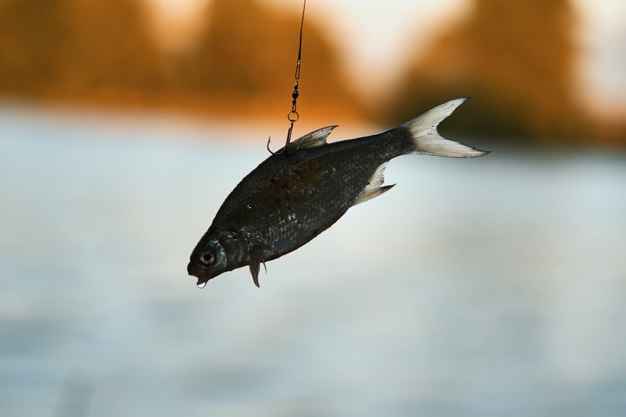 Photo carp fishing hook