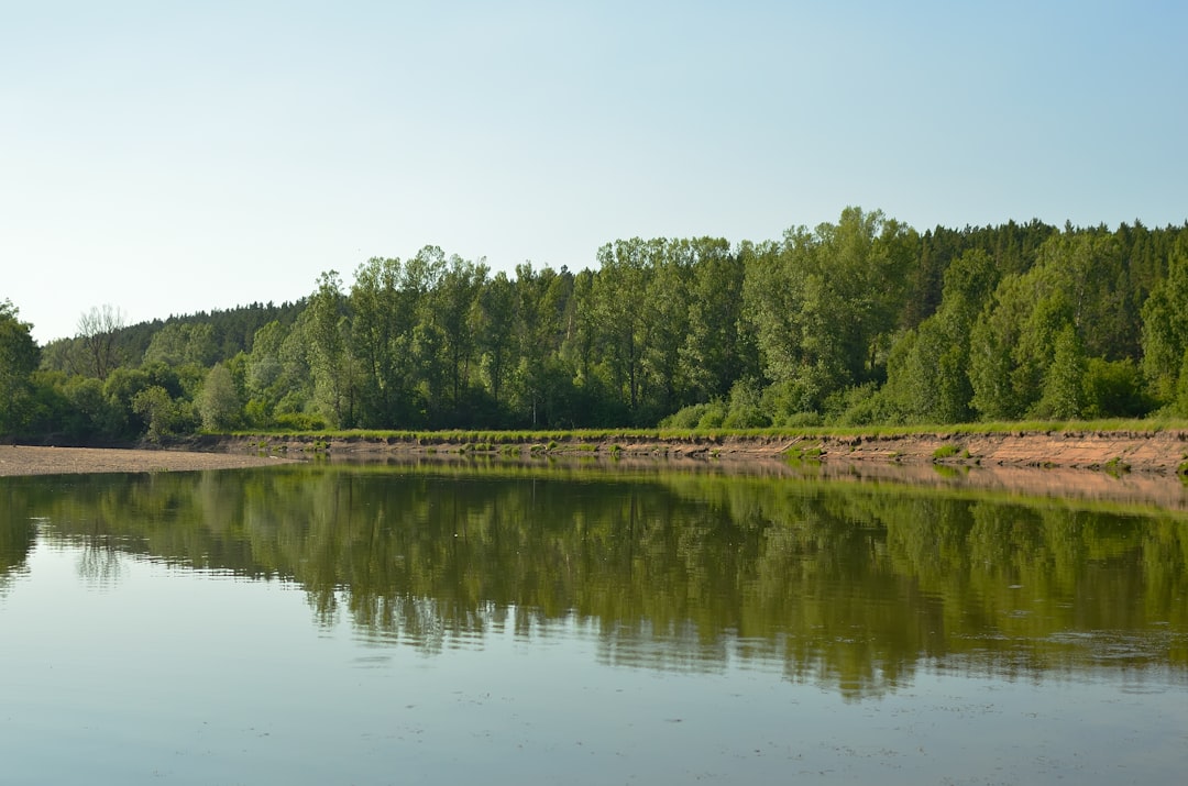 Consejos Para Pescar Truchas En Embalses #1 Guía Clara