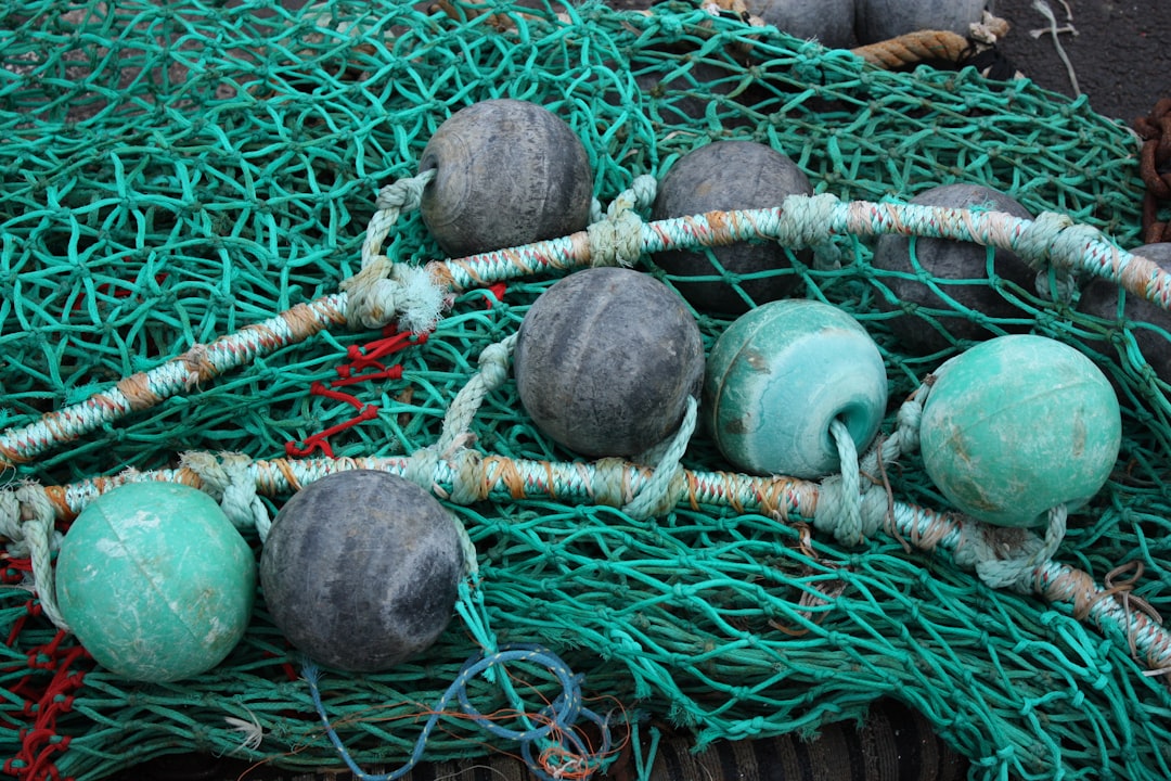 Photo homemade bait for fishing sea bream from the beach