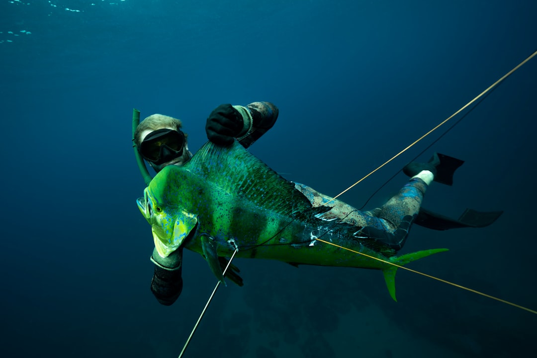 Pesca Submarina Una Aventura Bajo El Mar #1 Guía Clara