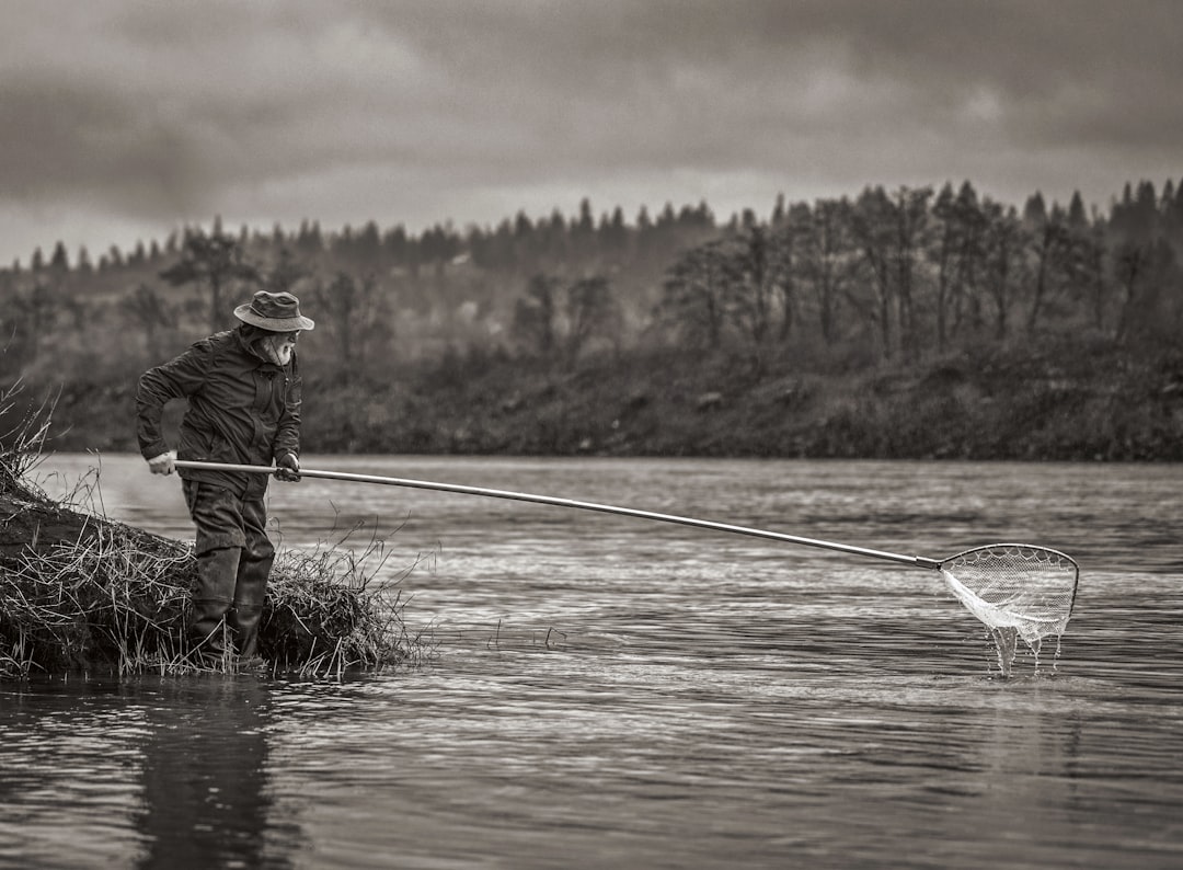 Pesca de truchas en ríos pequeños: técnicas efectivas