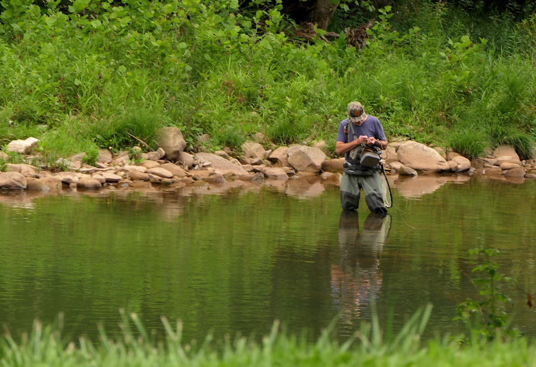 Photo fishing for big trout in river