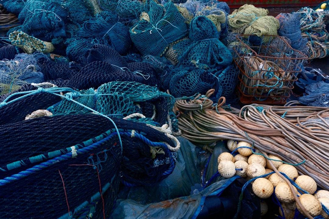 Photo commercial fishing