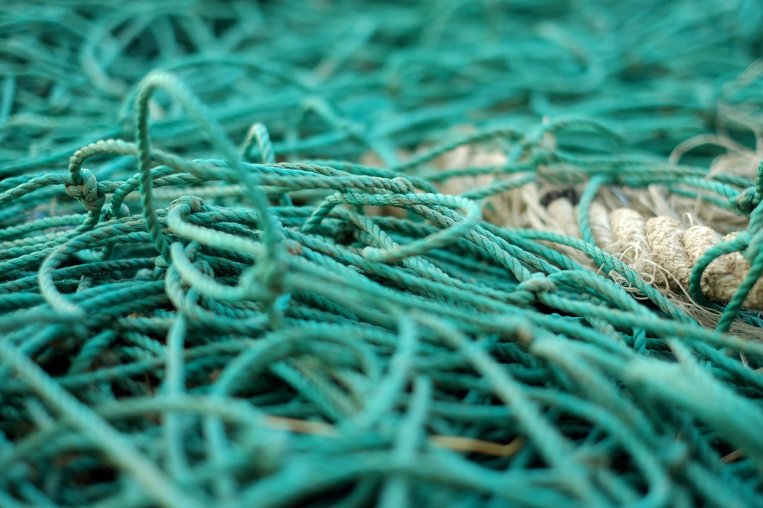 Photo fishing net