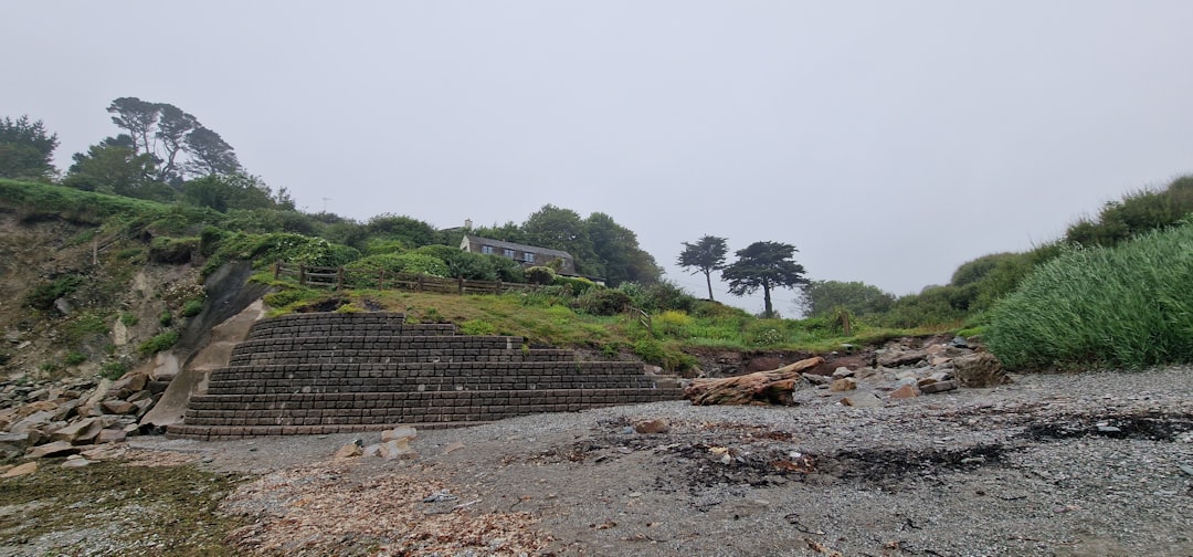 Photo coastal habitat restoration