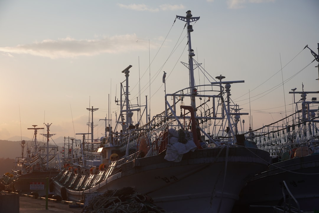 Photo harbor fishing