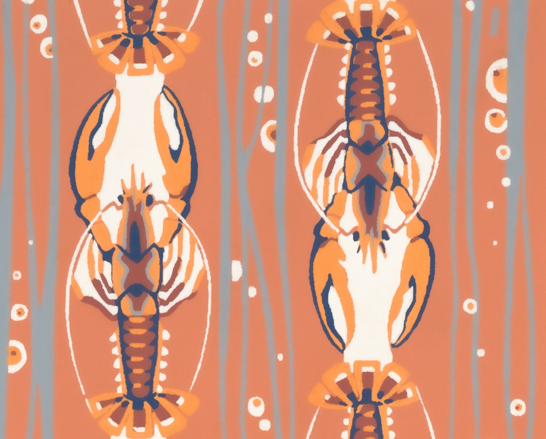 Los mejores señuelos artificiales para cigalas