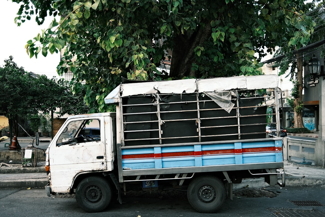 Photo transportar caña