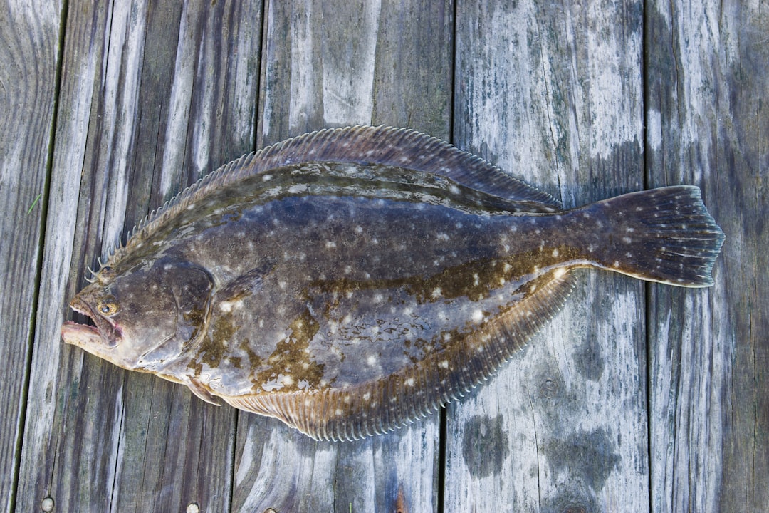 Pescado Sole: Delicioso y Saludable