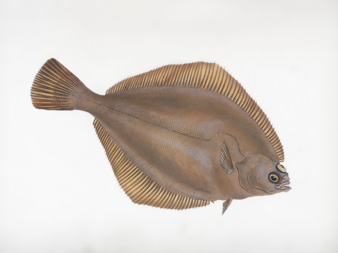 Delicioso pescado sole: recetas y consejos