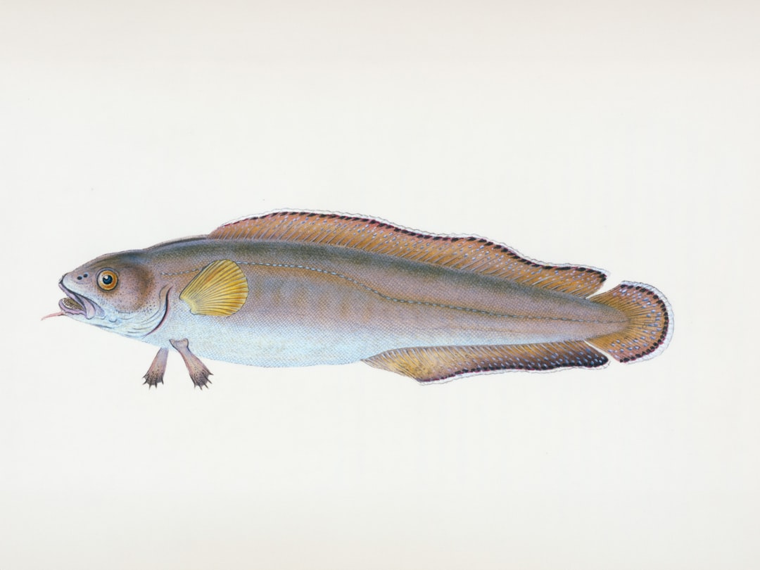 Los Mejores Carretes Para Pejerrey Guia De Com #1 Guía Clara