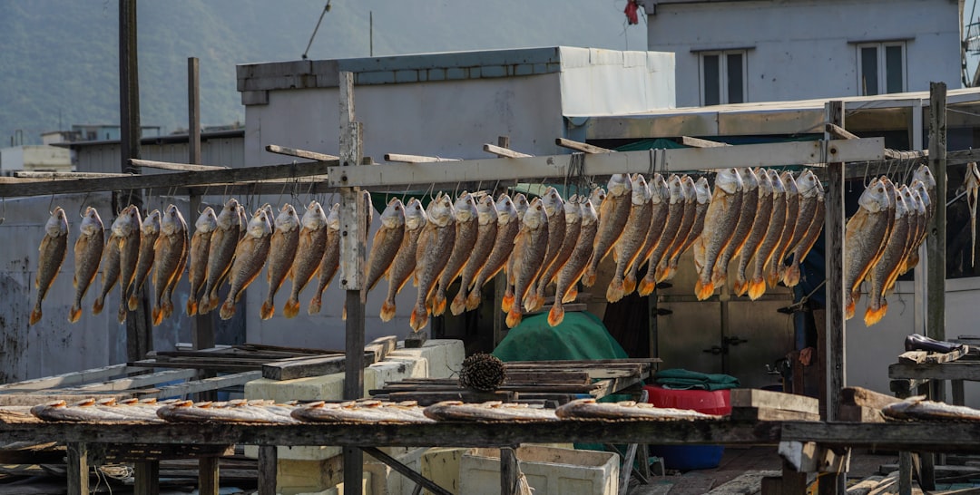 Los Mejores Anzuelos Para Merluza Guia De Compra #1 Guía