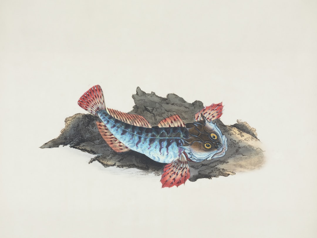 Mejores Aparejos Para Cabrilla Consejos De Pesca #1 Guía