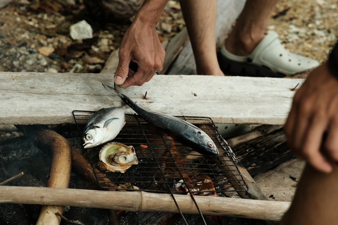 Los Mejores Aparejos Para Merluza #1 Guía Clara (sin lio)