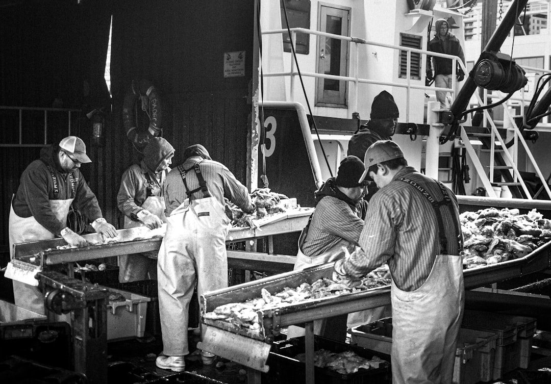 Las mejores cañas de spinning para merluza