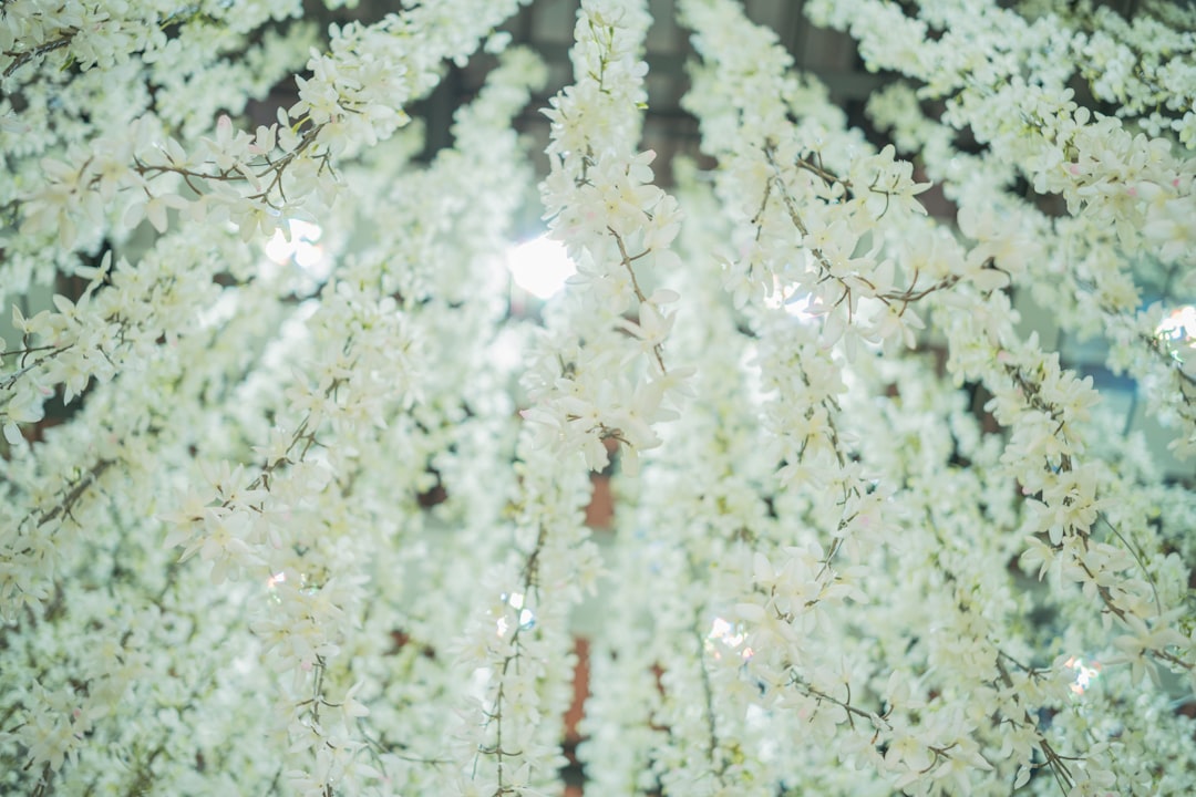 Los mejores carretes para cigalas: una guía completa